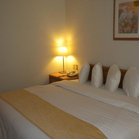 Hotel PF Mexico-stad Buitenkant foto