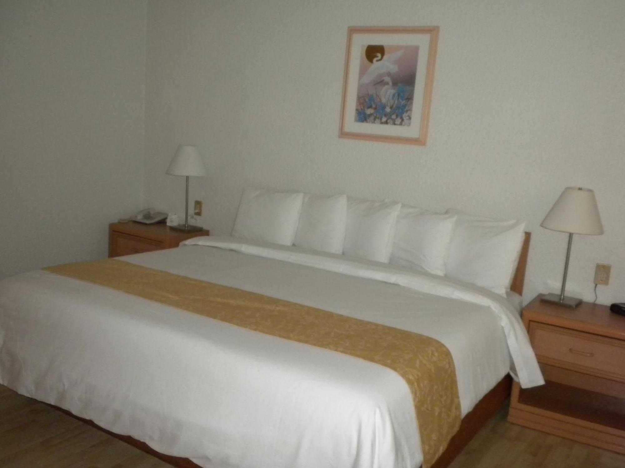 Hotel PF Mexico-stad Buitenkant foto