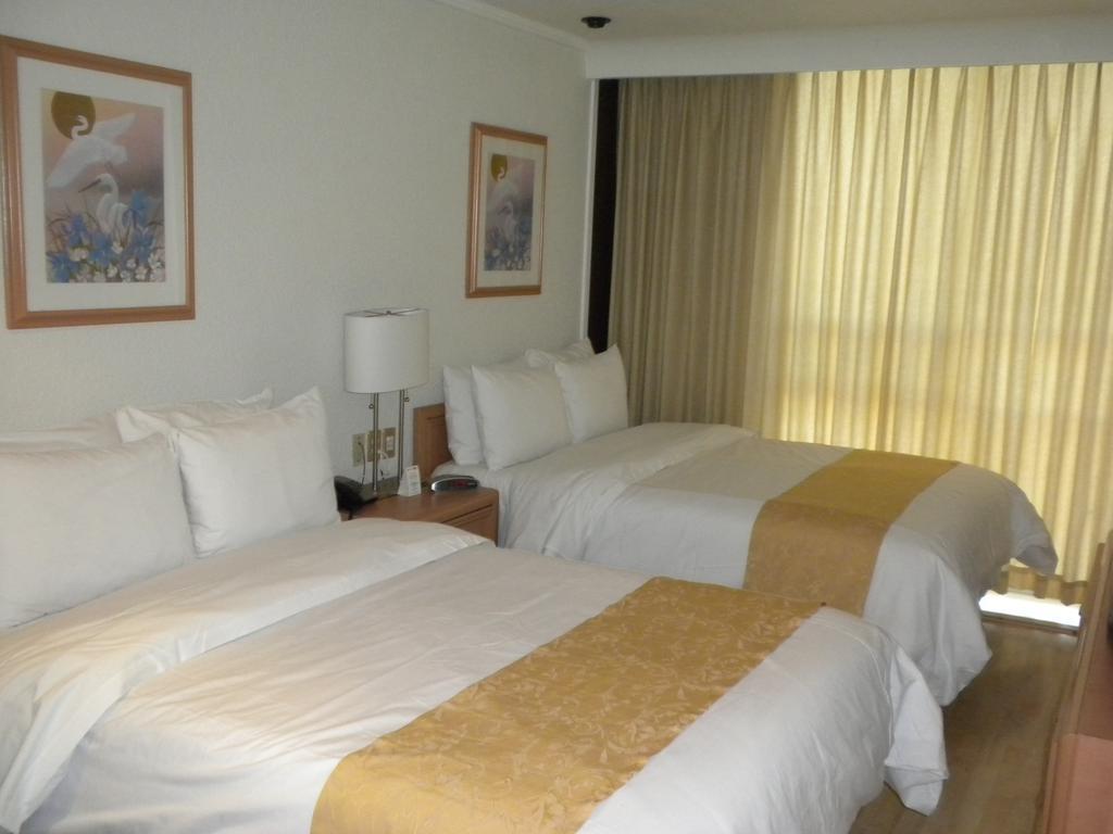 Hotel PF Mexico-stad Buitenkant foto