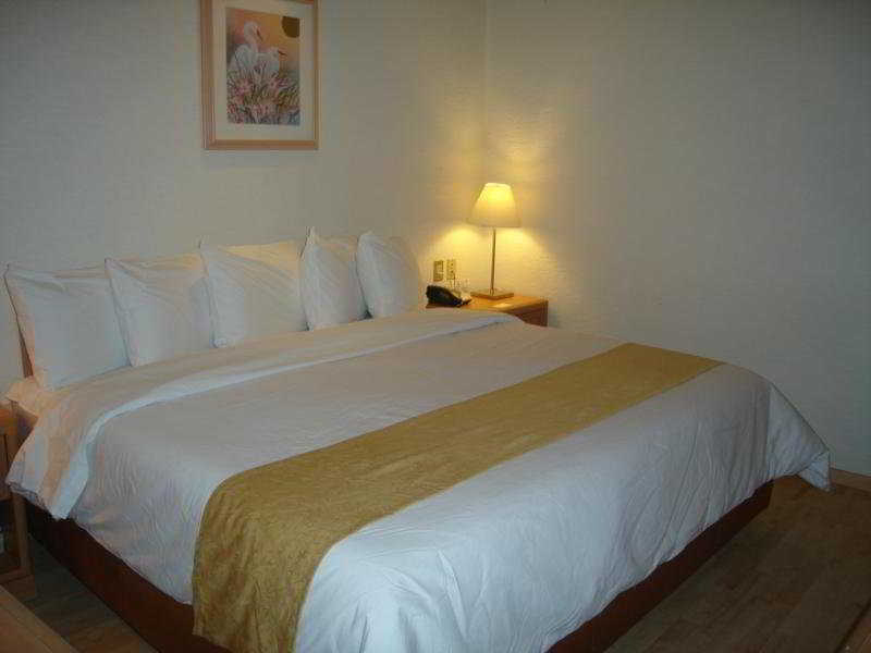 Hotel PF Mexico-stad Buitenkant foto